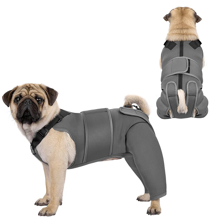 PAWREST Dog Recovery Suit